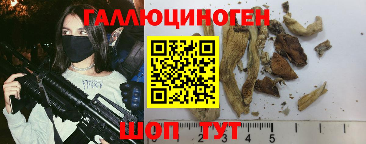 Псилоцибиновые грибы прущие грибы Егорьевск